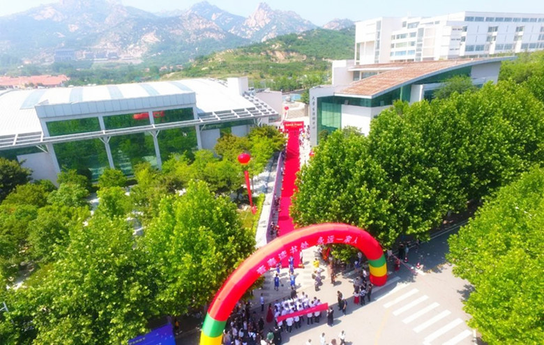 鲜衣怒马正芳华｜冰球突破豪华版官方网站2019届毕业生走红毯纪实