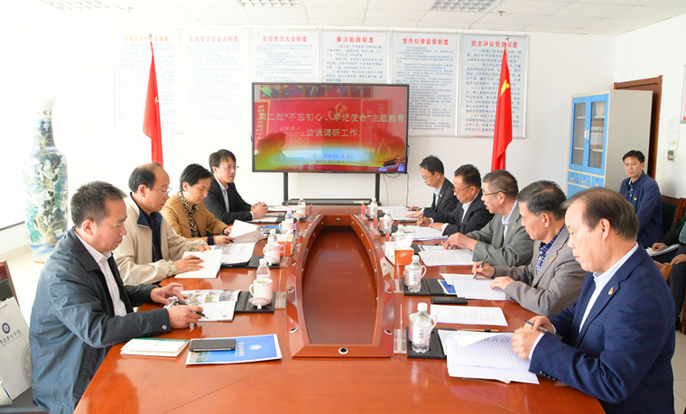 市委“不忘初心、牢记使命”主题教育整改督导组来冰球官网开展督导调研工作