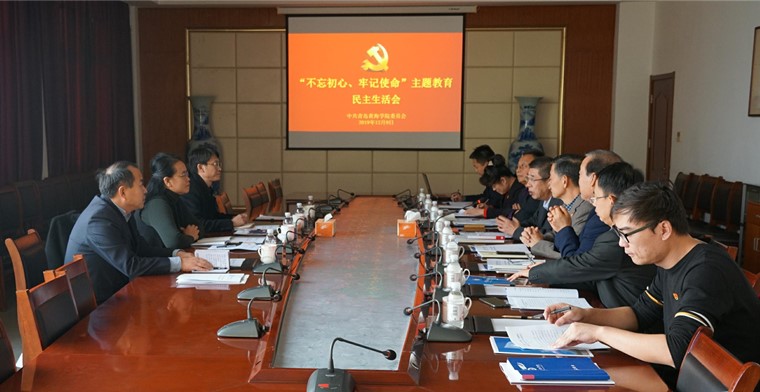 冰球突破豪华版官方网站召开“不忘初心、牢记使命”主题教育专题民主生活会