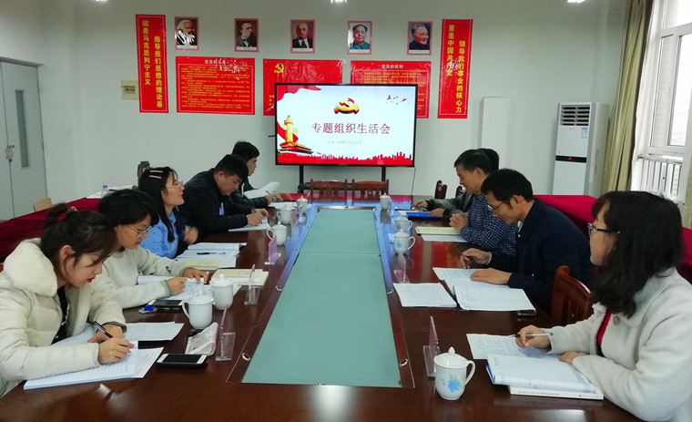 冰球突破豪华版官方网站护理与健康学院党总支召开2019年度专题组织生活会