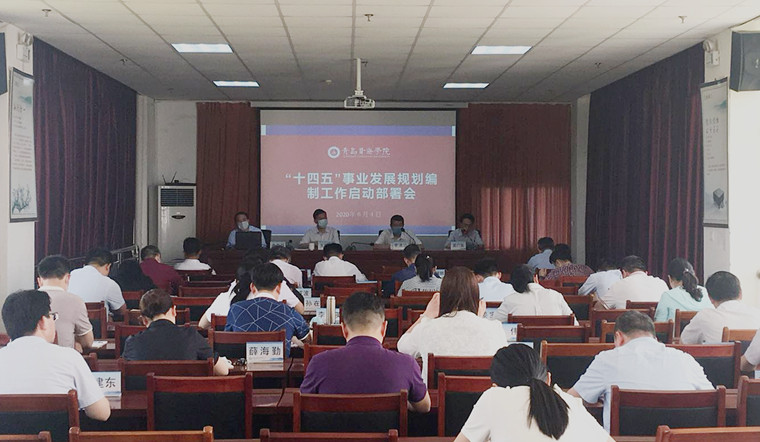 冰球突破豪华版官方网站“十四五”事业发展规划编制工作启动