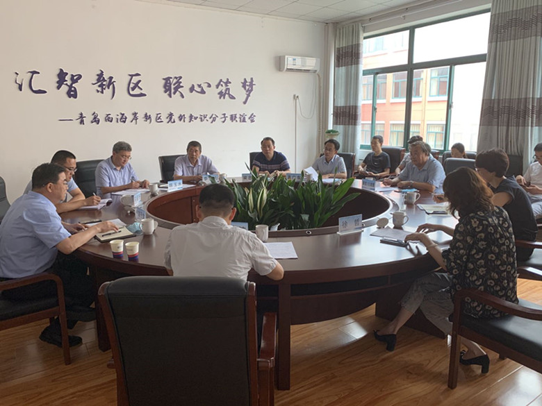 冰球突破豪华版官方网站召开党外代表人士座谈会