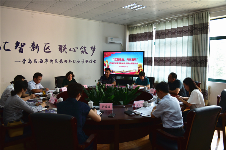 西海岸新区党外知识分子主题座谈会在冰球官网召开