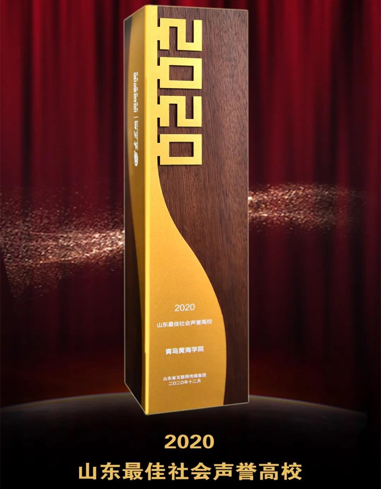 冰球官网荣获2020山东最具影响力教育政务融媒体和2020山东最佳社会声誉奖两项大奖