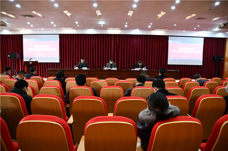 冰球突破豪华版官方网站组织召开2021年度安全稳定工作会议