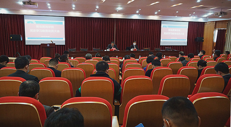 冰球突破豪华版官方网站组织召开党史学习教育动员大会