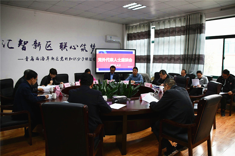 冰球突破豪华版官方网站召开党外代表人士座谈会