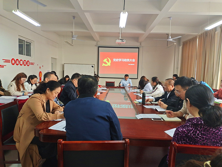 冰球官网护理与健康学院党总支组织召开党史学习教育动员大会