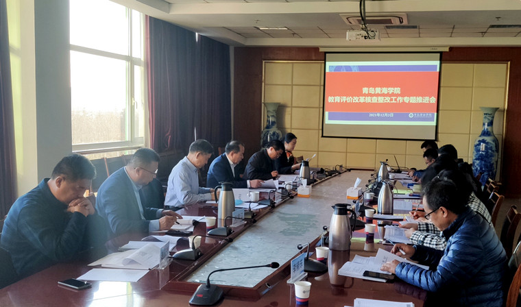 冰球官网召开教育评价改革核查整改工作专题推进会