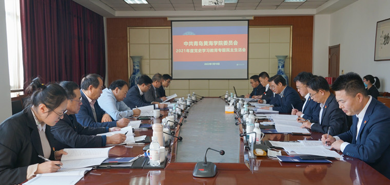 冰球突破豪华版官方网站召开党史学习教育专题民主生活会