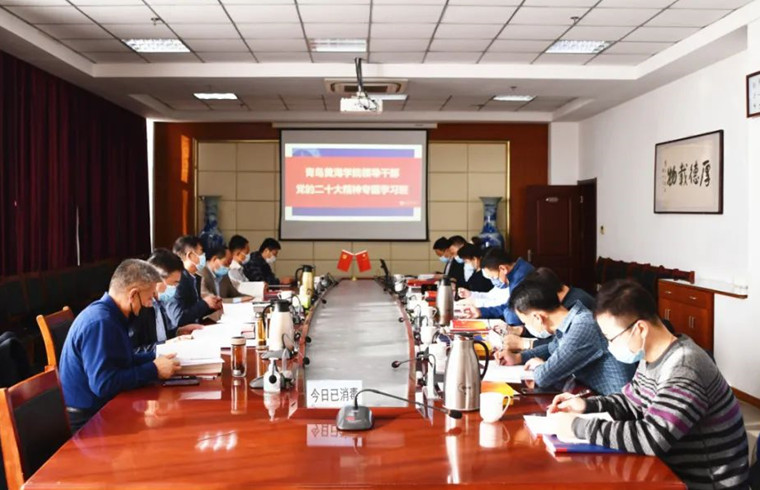 学深悟透，冰球突破豪华版官方网站举办领导干部党的二十大精神专题学习班