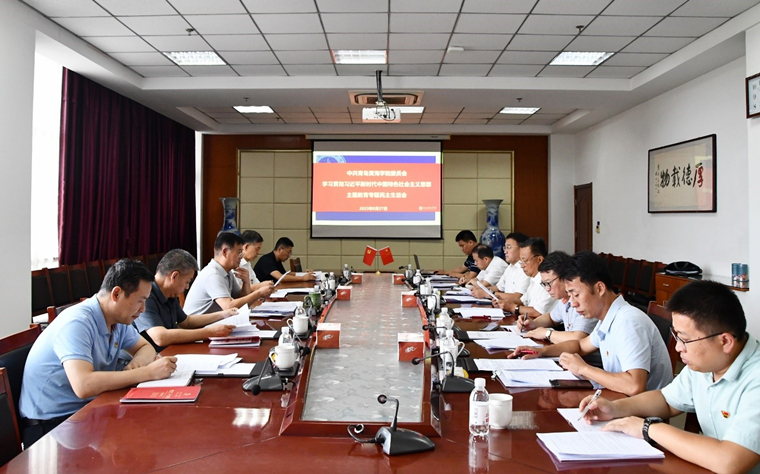 冰球突破豪华版官方网站党委领导班子召开主题教育专题民主生活会