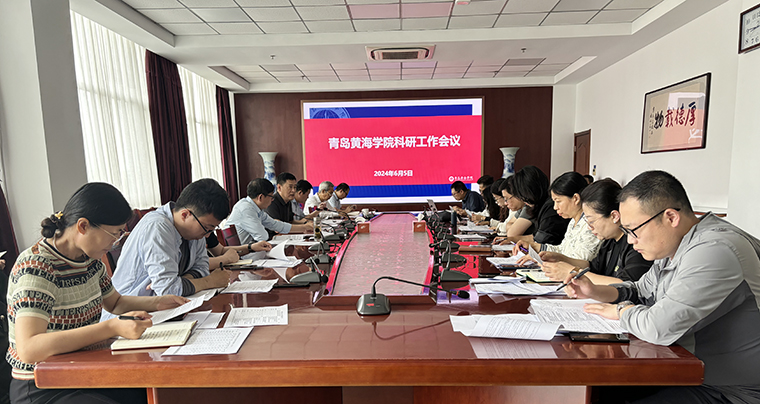 冰球官网召开科研重点工作推进会议