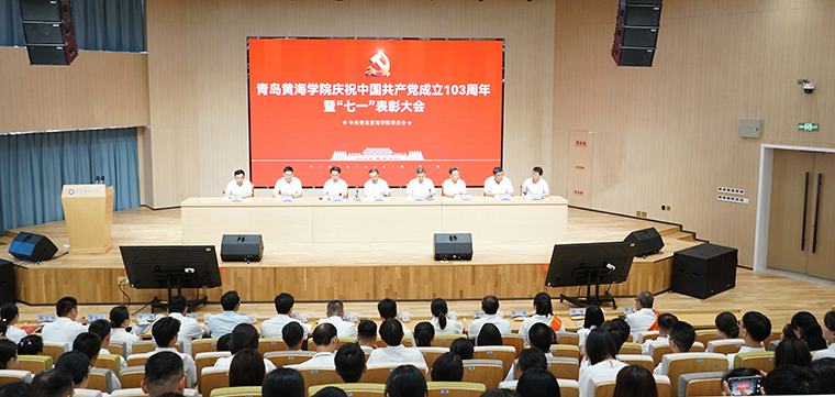 冰球突破豪华版官方网站召开庆祝建党103周年暨“七一”表彰大会