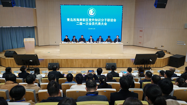 青岛西海岸新区党外知识分子联谊会二届一次会员代表大会在冰球突破豪华版官方网站举行
