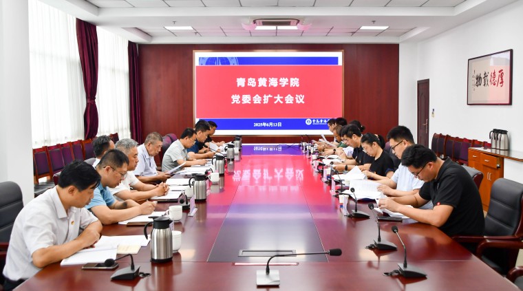 冰球官网召开党委会扩大会议，同时套开年轻干部深入贯彻中央八项规定精神学习教育专题研讨交流会