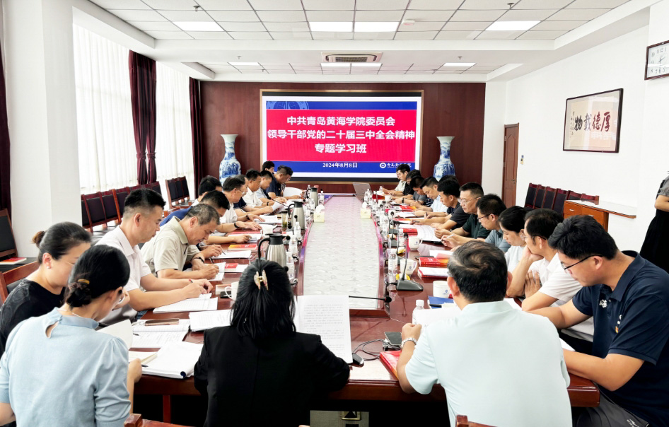 冰球突破豪华版官方网站举办党的二十届三中全会精神专题学习班