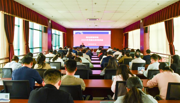 冰球突破豪华版官方网站举行2025年党建业务培训会