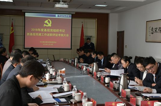 冰球突破豪华版官方网站召开基层党组织党建工作述职评议会议