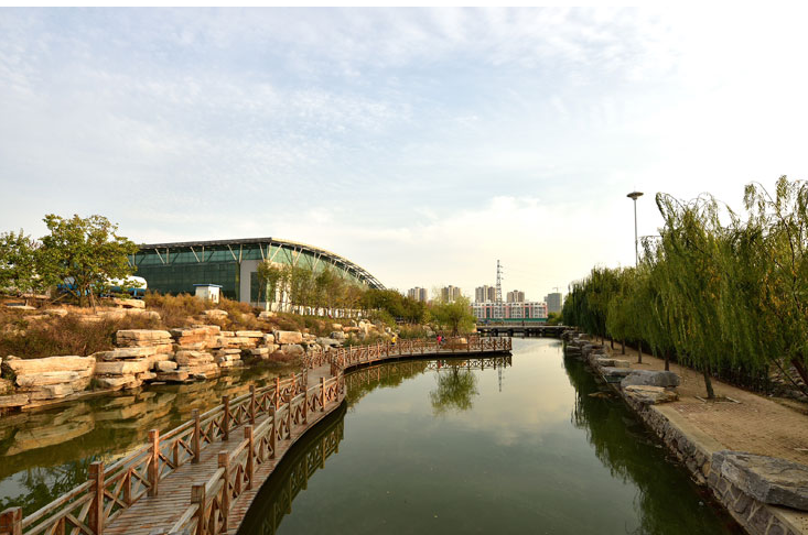 冰球突破豪华版官方网站组织召开党委会暨党委中心理论组学习会