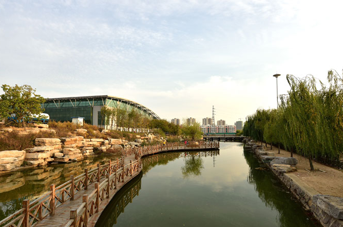 2019年山东省自然科学基金学科组评审建议项目名单培养基金）结果公布 冰球官网教师参与的项目获批立项